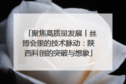 聚焦高质量发展丨丝博会里的技术脉动：陕西科创的突破与想象
